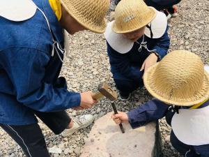 研學(xué)案例